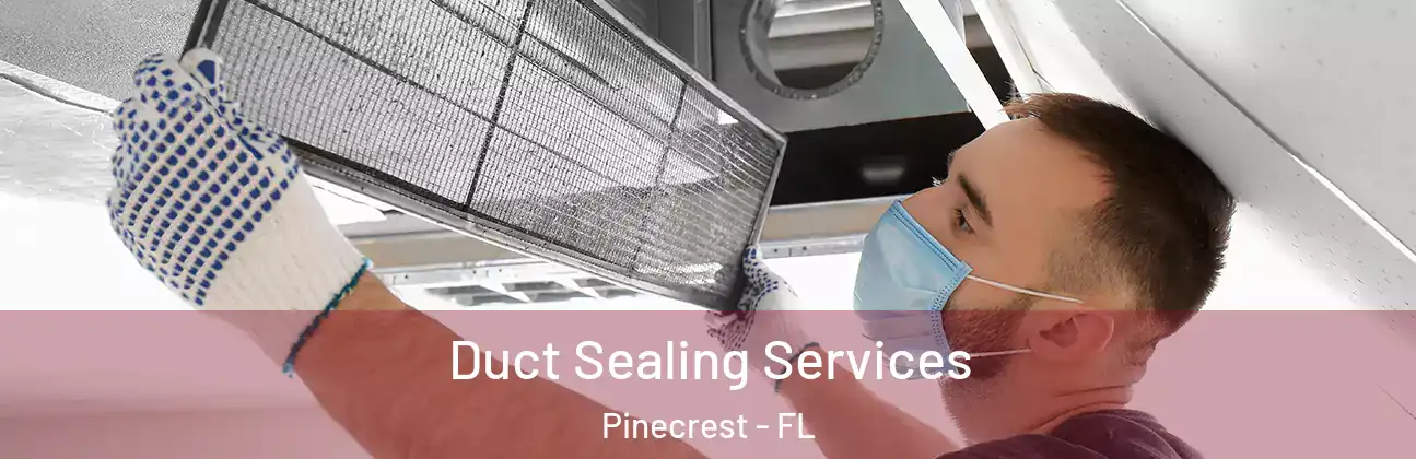  Duct Sealing Services Pinecrest - FL